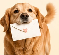 A golden dog gently holding an envelope with a small heart.